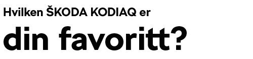 SKODA_KODIAQ_Favoritt-farge.png